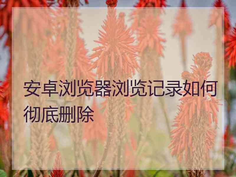 安卓浏览器浏览记录如何彻底删除