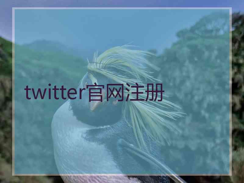 twitter官网注册