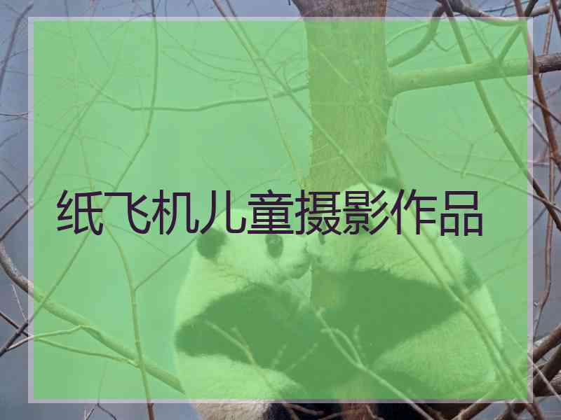 纸飞机儿童摄影作品