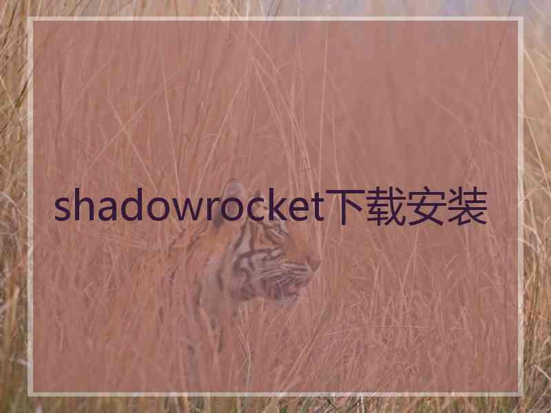 shadowrocket下载安装