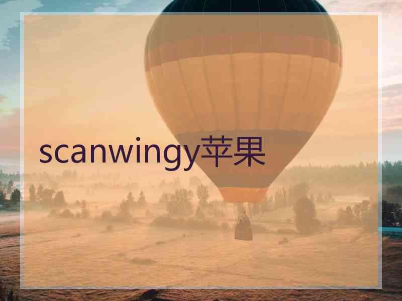 scanwingy苹果