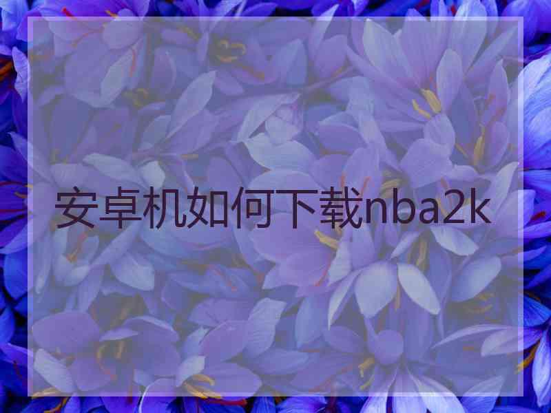 安卓机如何下载nba2k