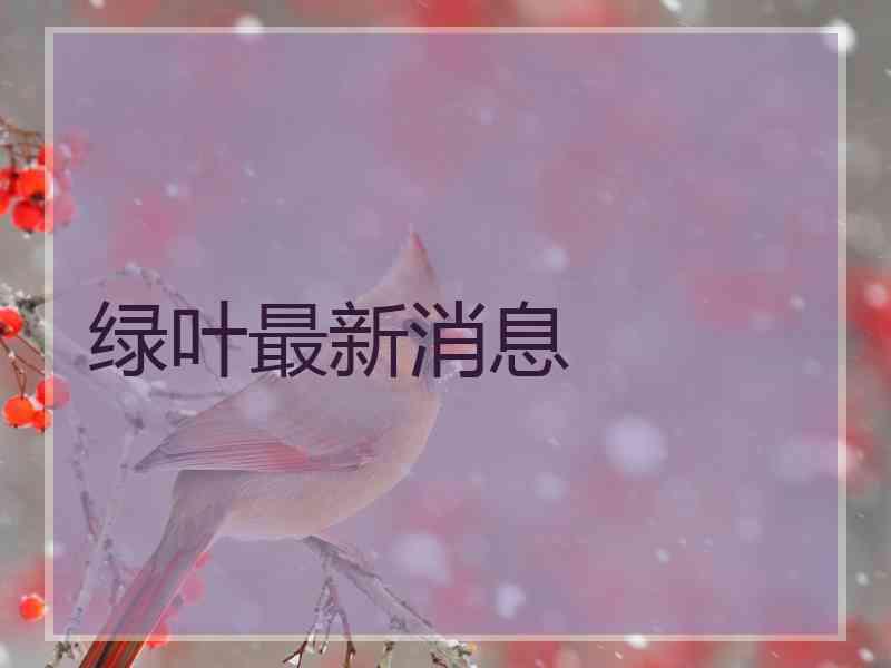 绿叶最新消息