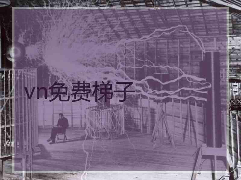 vn免费梯子