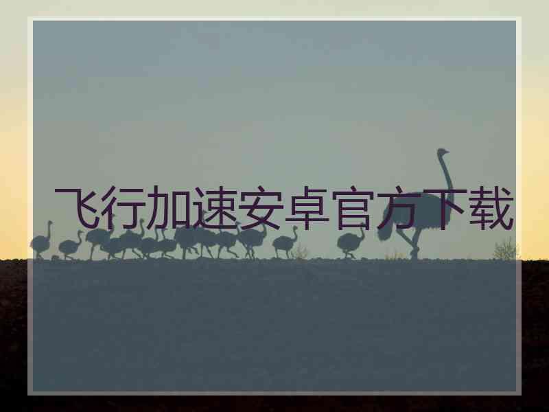 飞行加速安卓官方下载