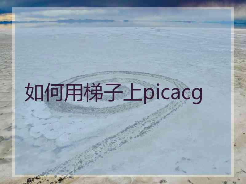 如何用梯子上picacg