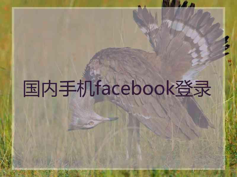 国内手机facebook登录