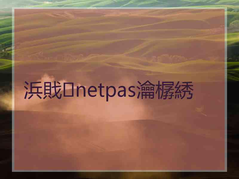 浜戝netpas瀹樼綉