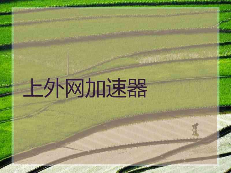 上外网加速器