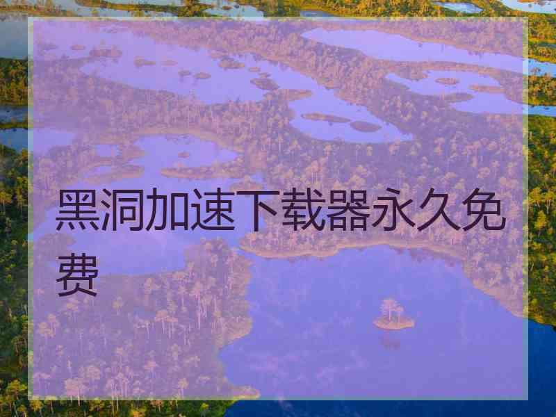 黑洞加速下载器永久免费