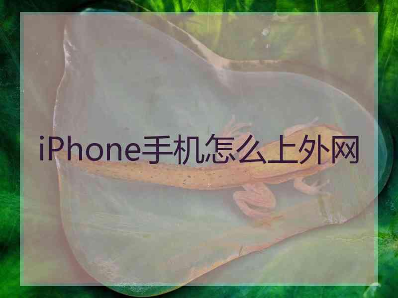iPhone手机怎么上外网