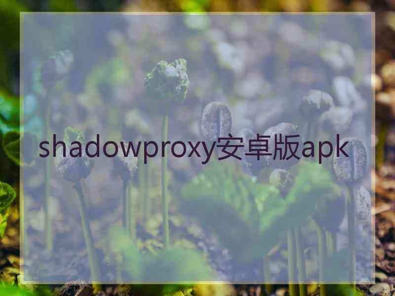 shadowproxy安卓版apk