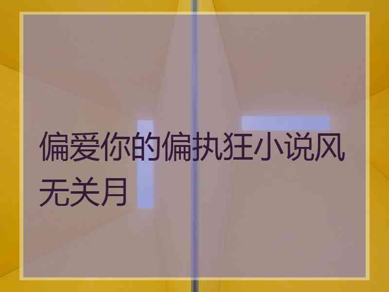 偏爱你的偏执狂小说风无关月