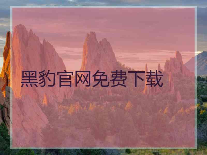 黑豹官网免费下载
