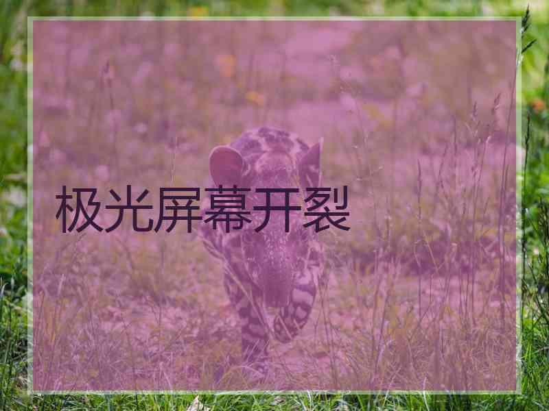极光屏幕开裂