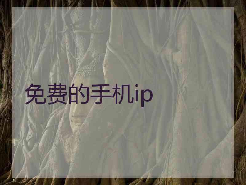 免费的手机ip