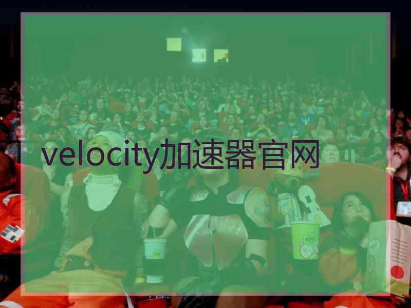 velocity加速器官网