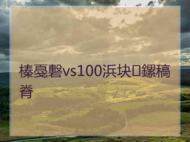 榛戞礊vs100浜块鏍稿脊