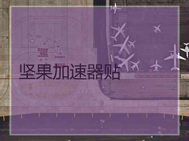 坚果加速器贴