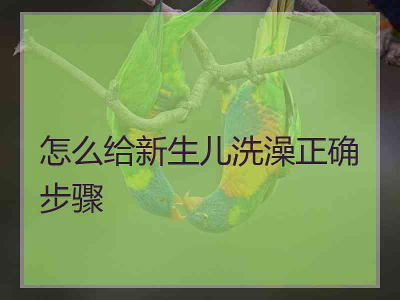 怎么给新生儿洗澡正确步骤