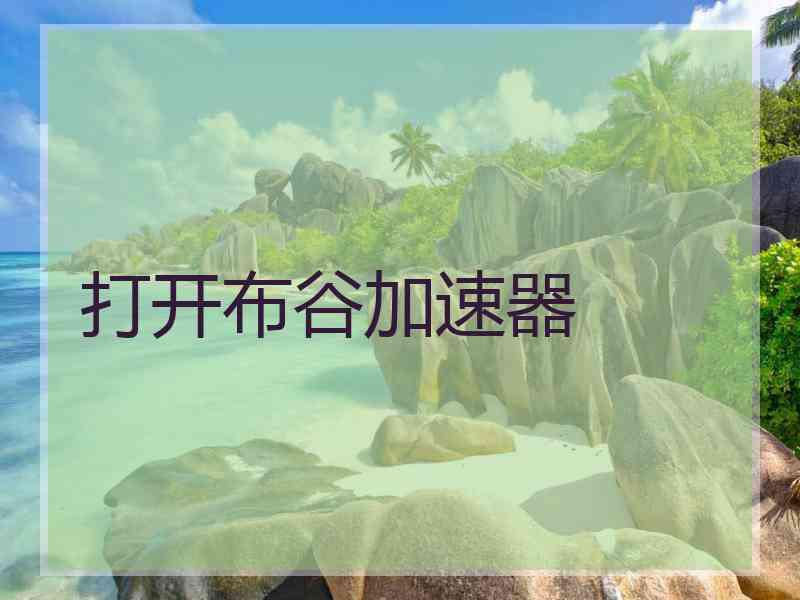 打开布谷加速器
