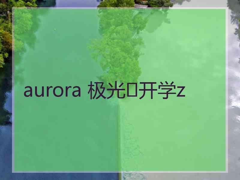 aurora 极光✨开学z