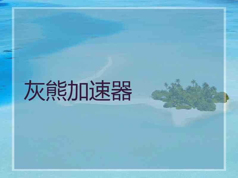 灰熊加速器