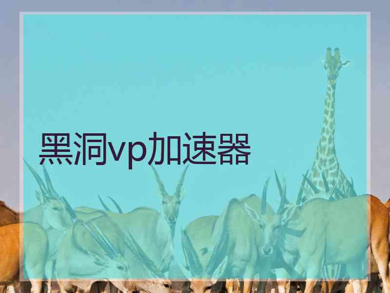 黑洞vp加速器