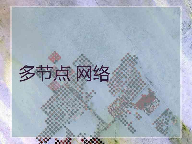 多节点 网络