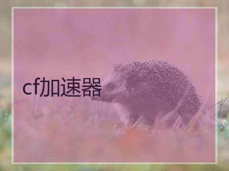 cf加速器