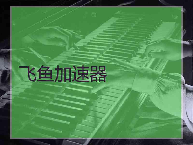 飞鱼加速器