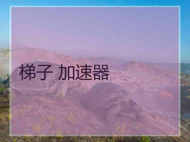 梯子 加速器