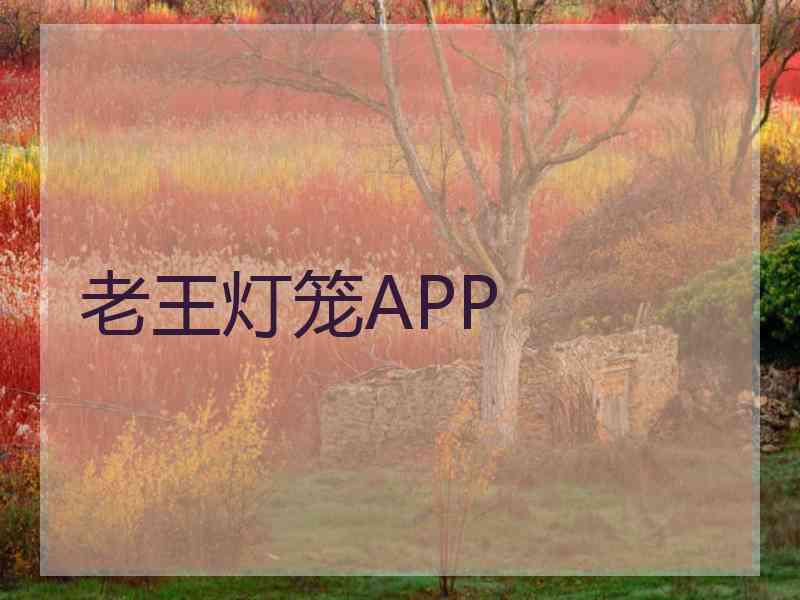 老王灯笼APP