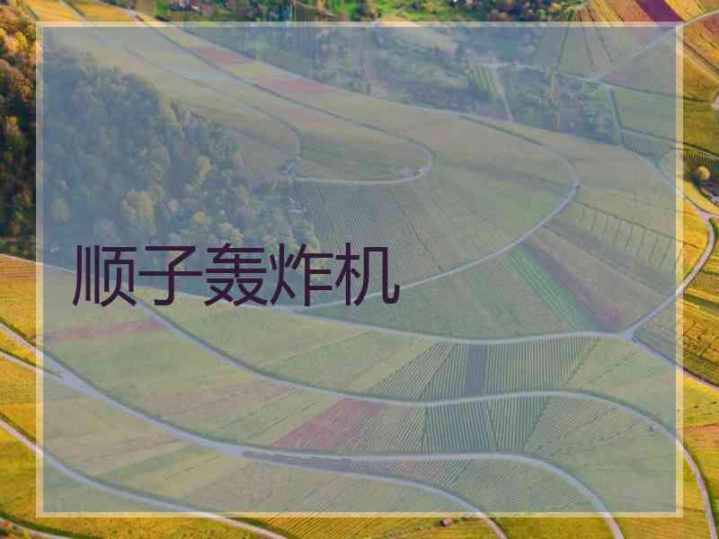 顺子轰炸机