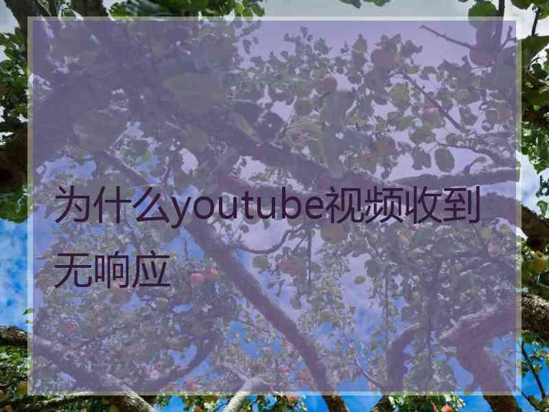 为什么youtube视频收到无响应