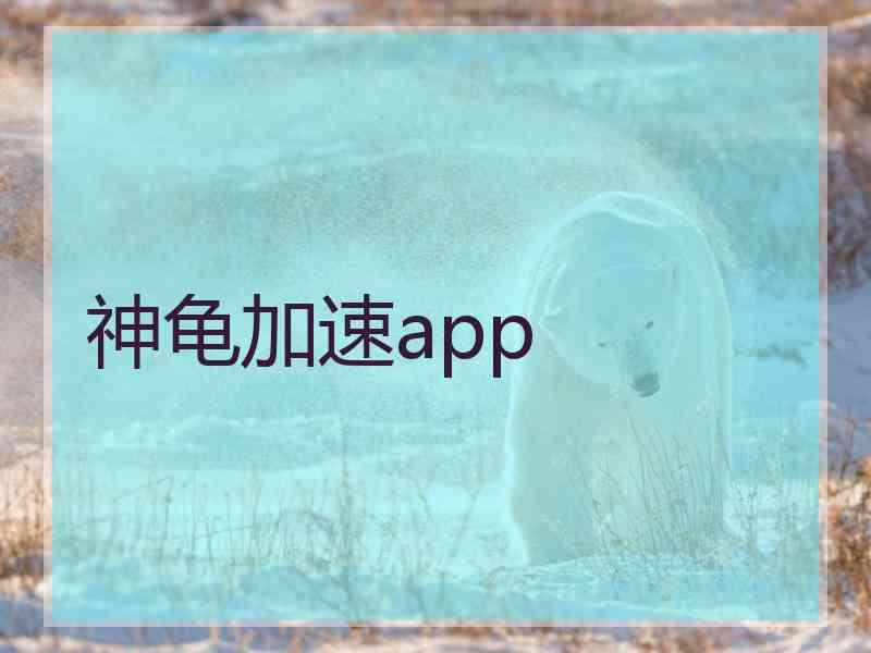 神龟加速app