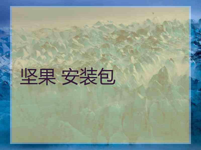 坚果 安装包
