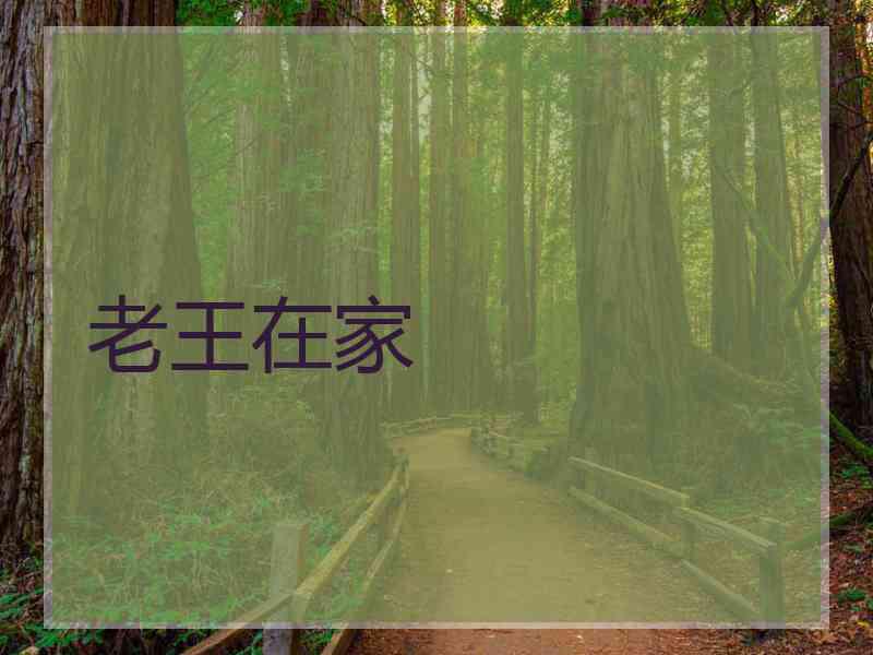 老王在家