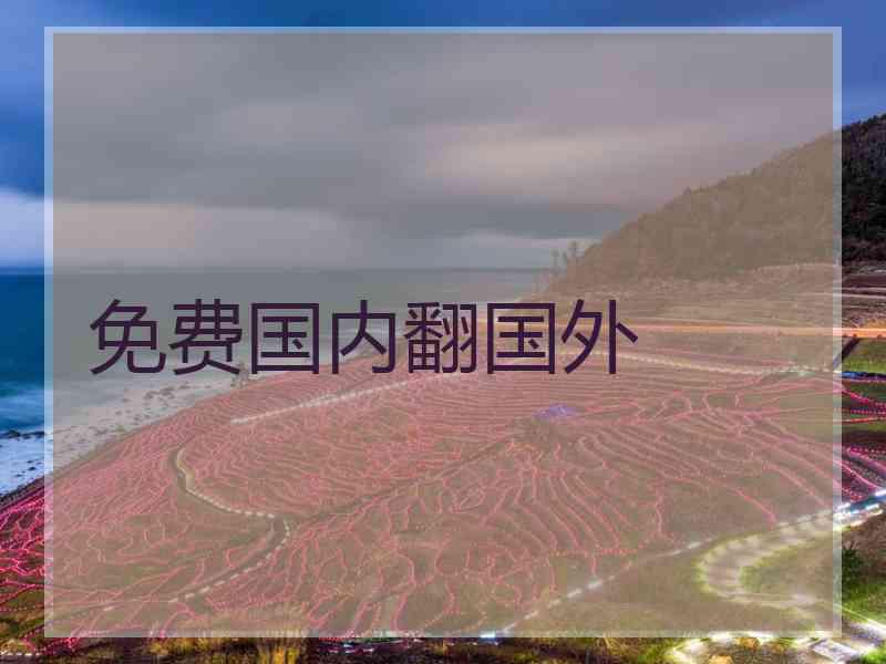 免费国内翻国外