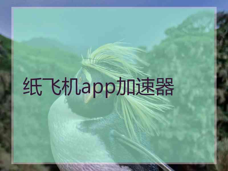 纸飞机app加速器