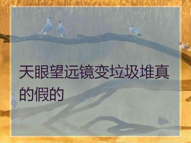 天眼望远镜变垃圾堆真的假的
