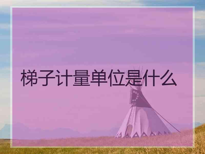 梯子计量单位是什么