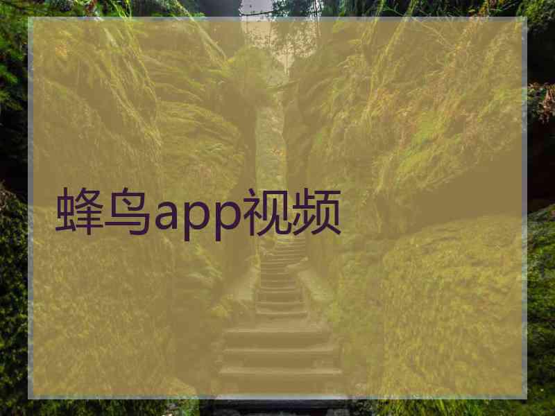蜂鸟app视频