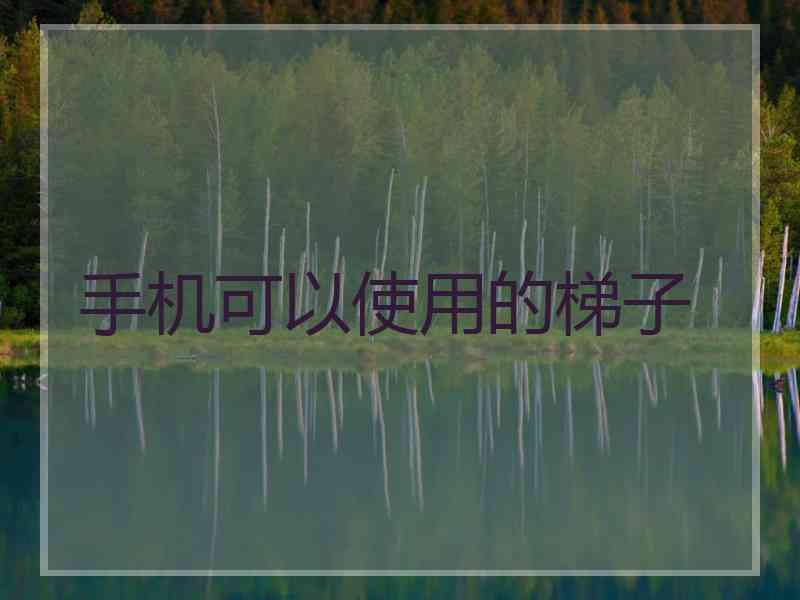 手机可以使用的梯子