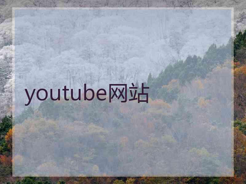youtube网站
