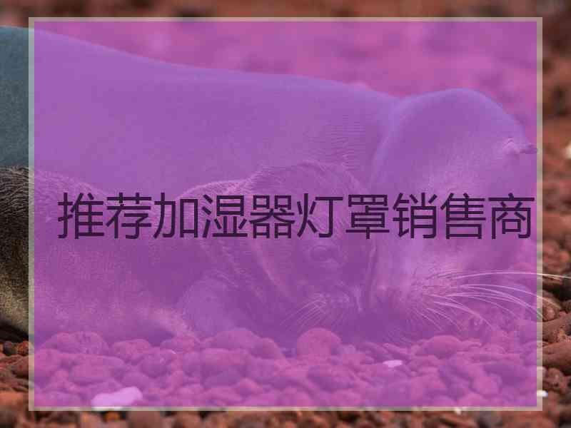 推荐加湿器灯罩销售商