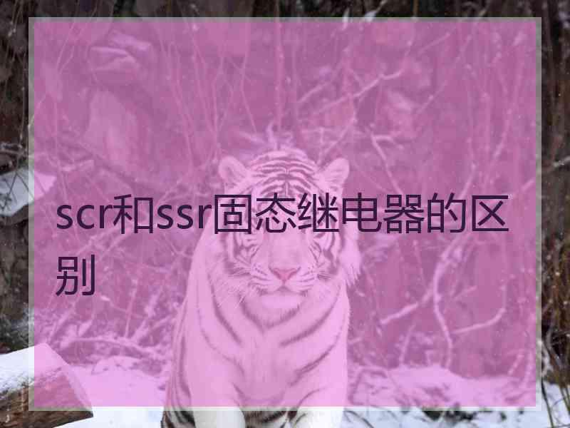scr和ssr固态继电器的区别
