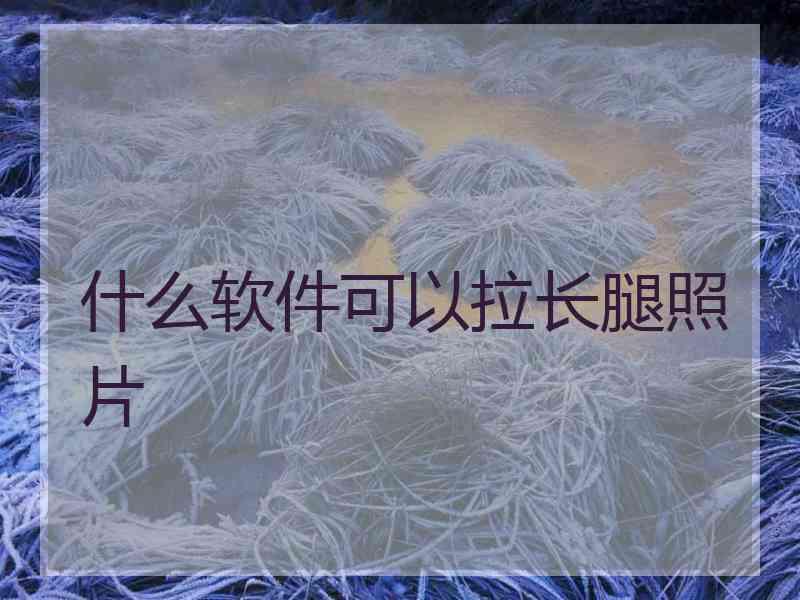 什么软件可以拉长腿照片