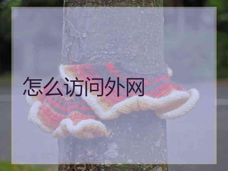 怎么访问外网