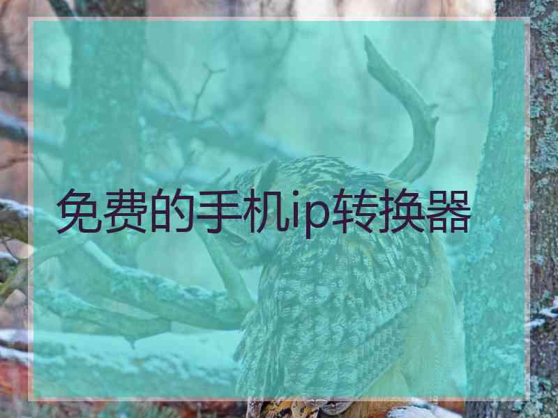 免费的手机ip转换器